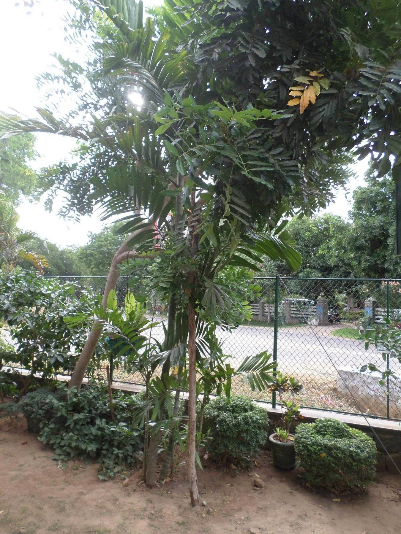 Hotel Senora Kataragama Ngoại thất bức ảnh